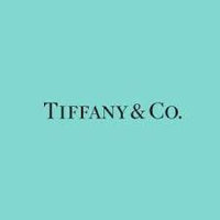 TIFFANY　エルサ・ペレッティ スモール ボーン カフブレスレット