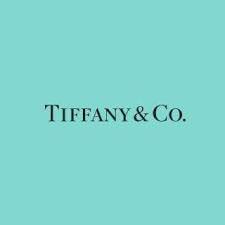 TIFFANY　エルサ・ペレッティ スモール ボーン カフブレスレット